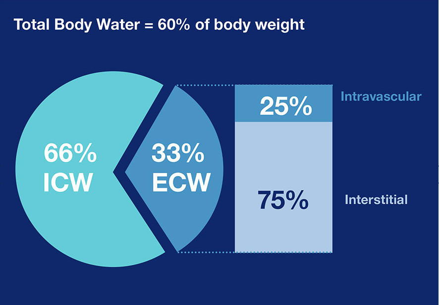 gráfico de agua corporal total